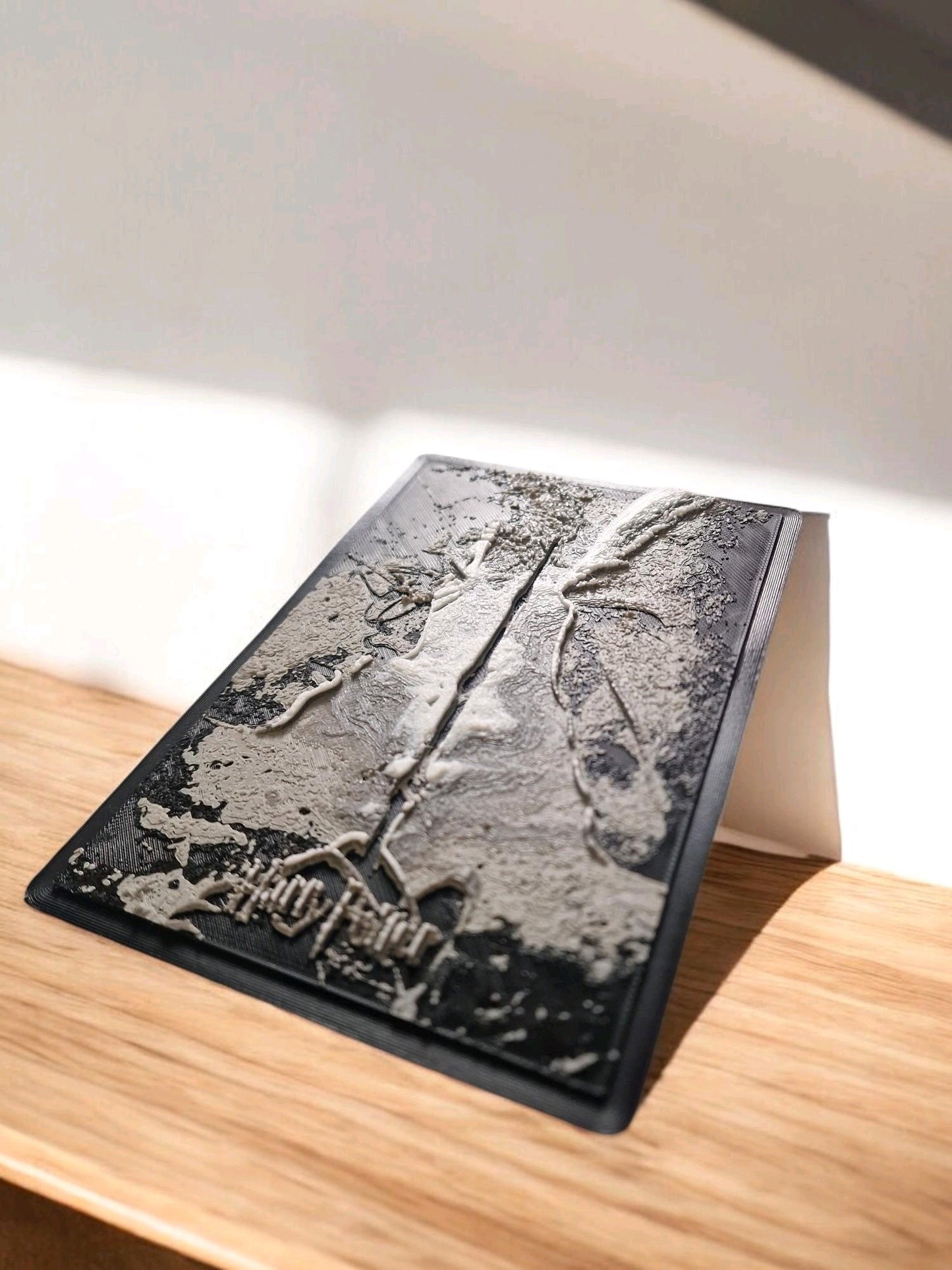 Harry Potter & Voldemort 3D Printed Wall Art